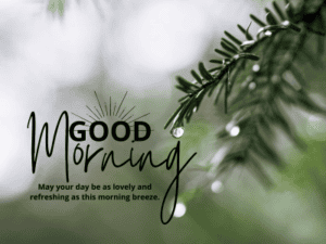 450+ Heartfelt Good Morning Messages for Friends With Images 2 Good morning! May your day be as lovely and refreshing as this morning breeze.