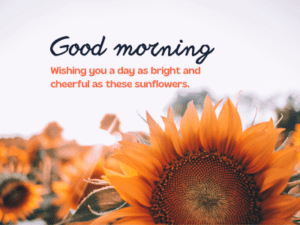 450+ Heartfelt Good Morning Messages for Friends With Images 9 Good morning! Wishing you a day as bright and cheerful as these sunflowers.