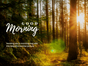 450+ Heartfelt Good Morning Messages for Friends With Images 7 Sending you a morning hug with this beautiful sunrise picture. Good morning!