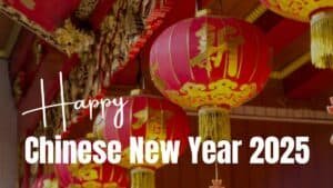 Happy Chinese New Year 2025